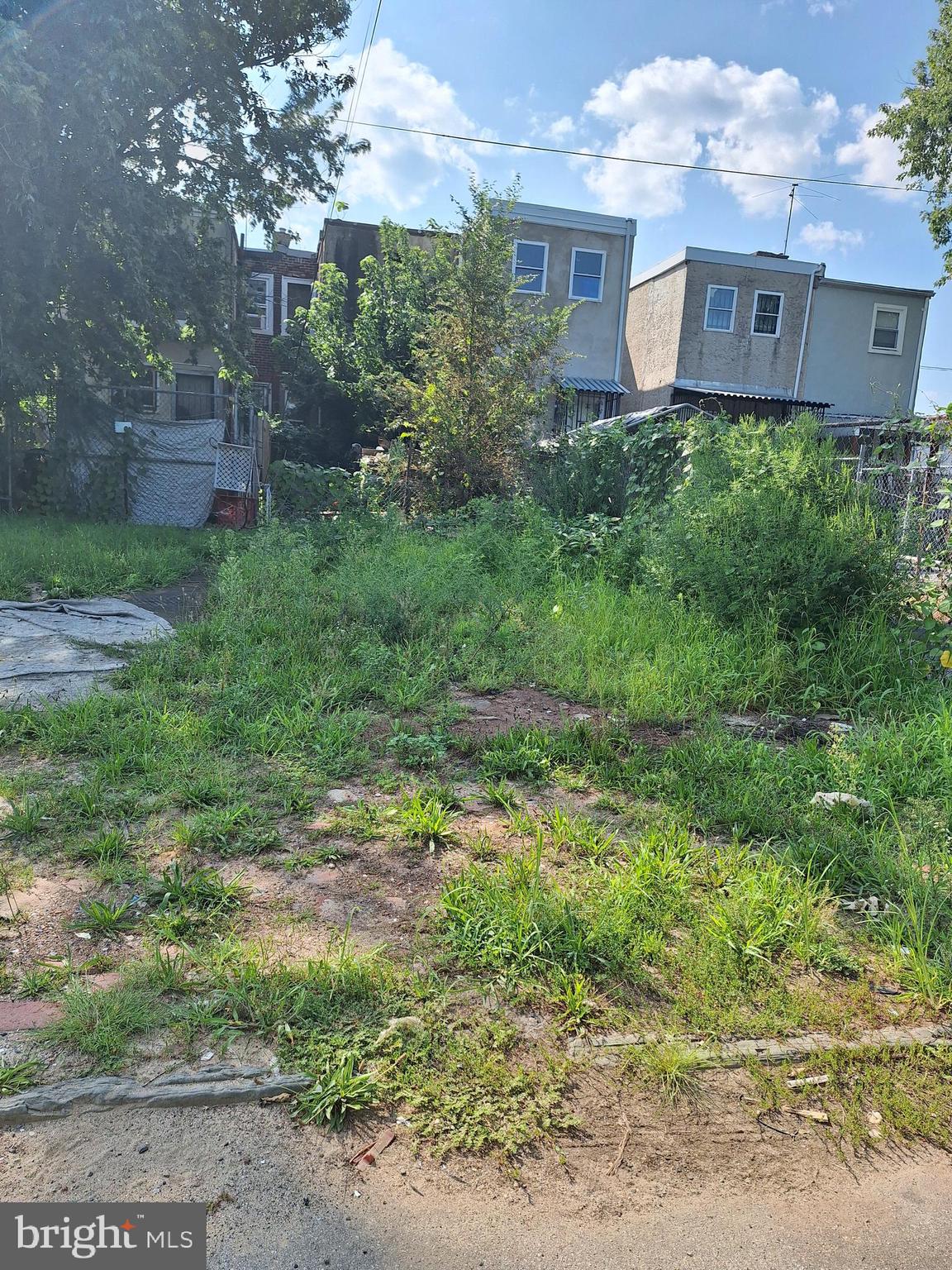 a front view of a house with a yard and a tree