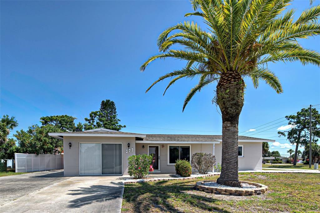 The majestic palm tree is the focal point of the front yard.