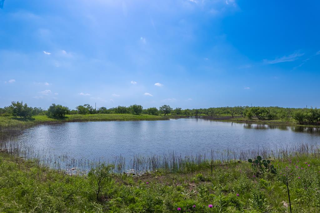 a view of a lake