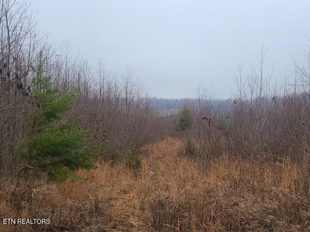 $49,000 | Dooley Hollow Road