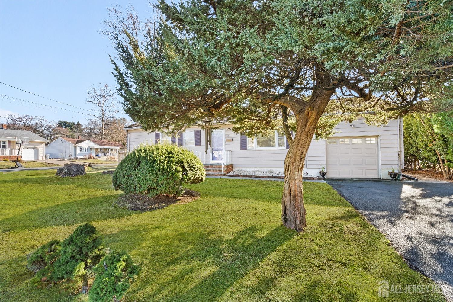 a view of a garden with a tree