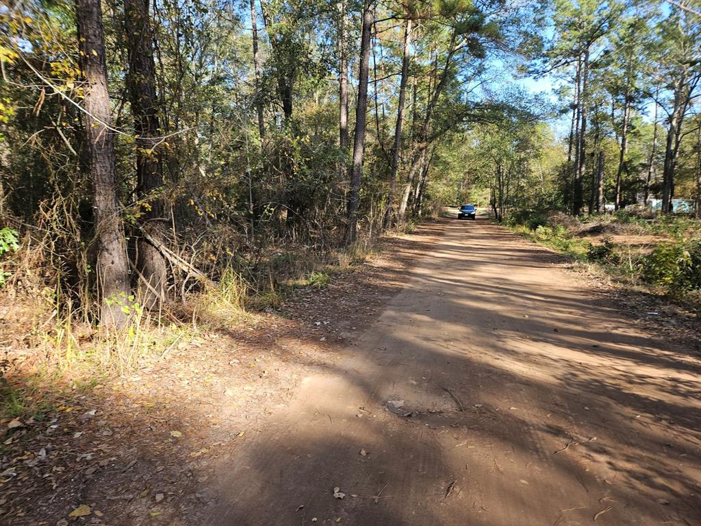 a view of road and trees