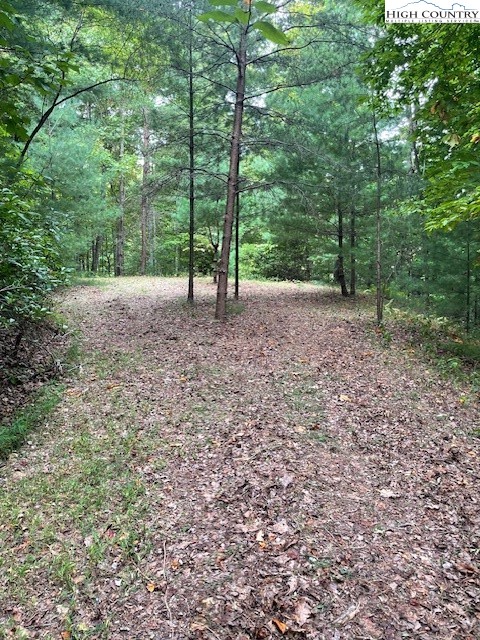 a view of outdoor space and view of trees