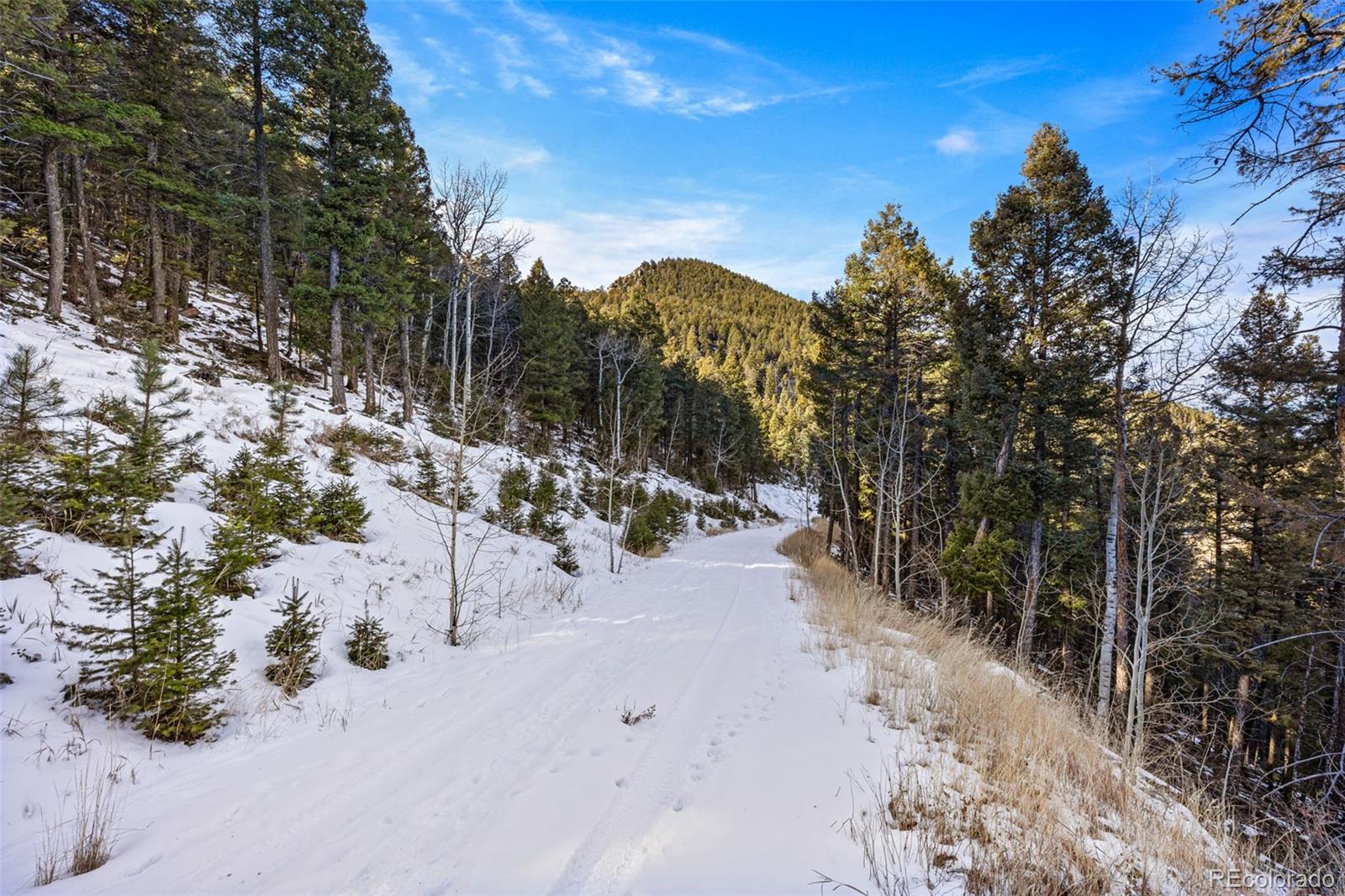 a view of a road with a snow on the road