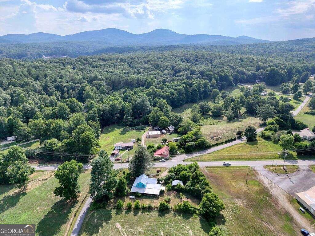 an aerial view of green landscape with trees houses and mountain view