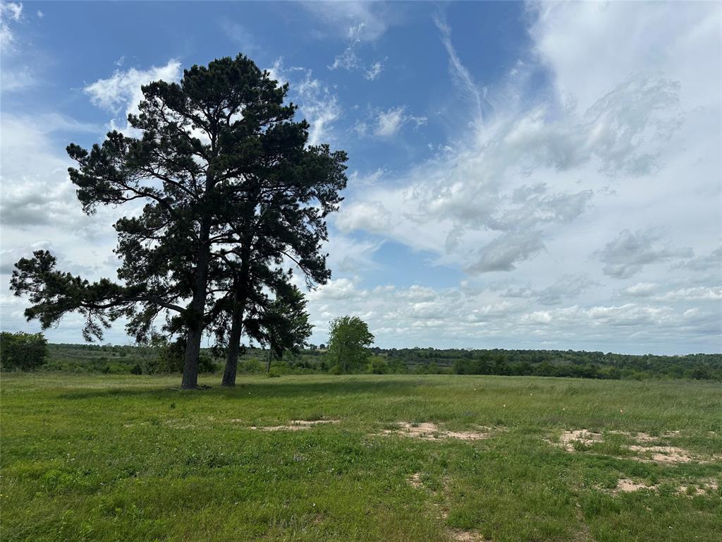 a view of outdoor space with green field and trees