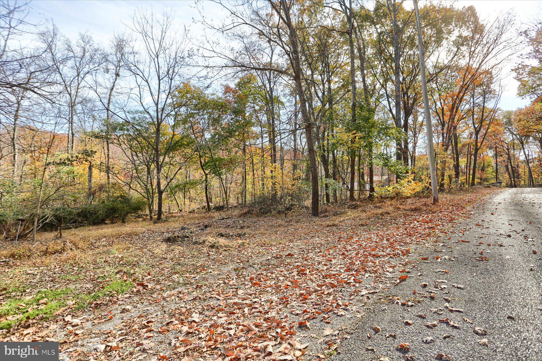 a view of road with trees