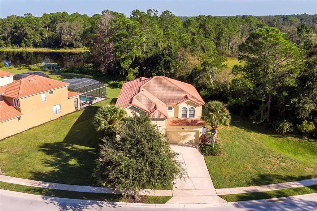 a view of a backyard