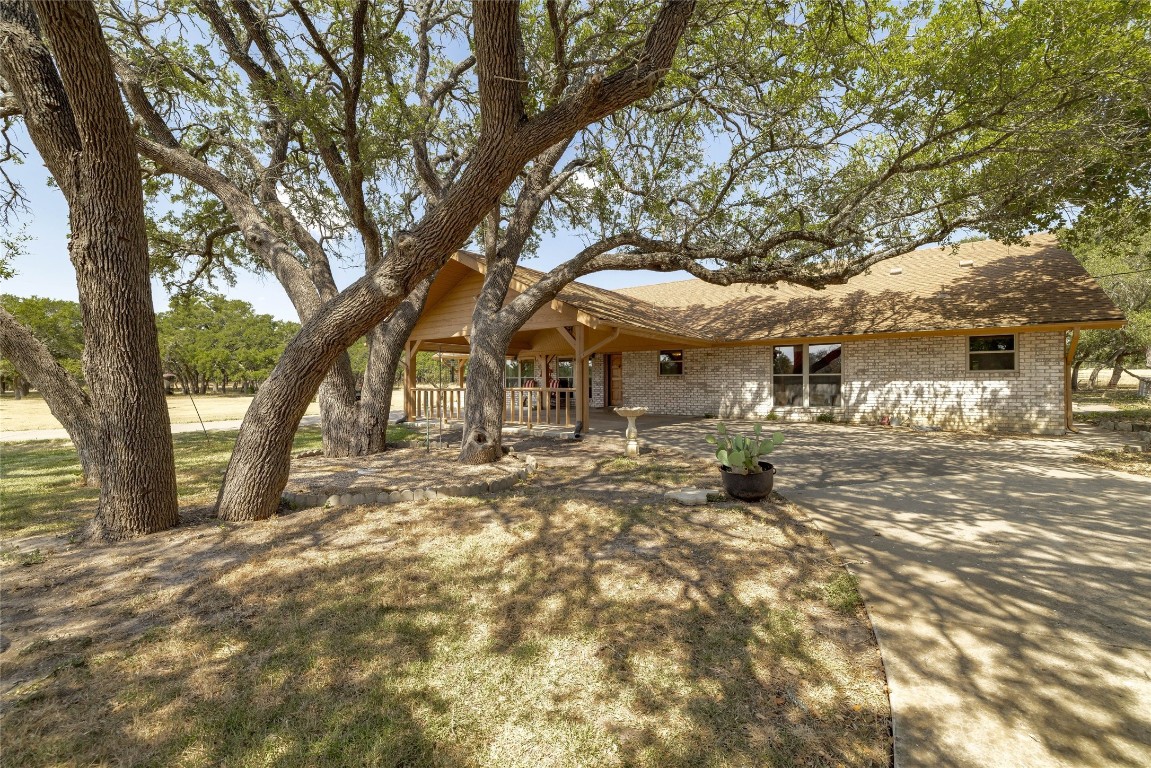 Large Oaks spread around property