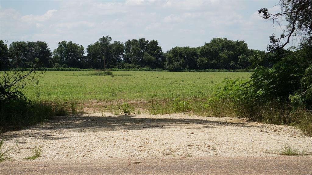 a view of a backyard with large trees