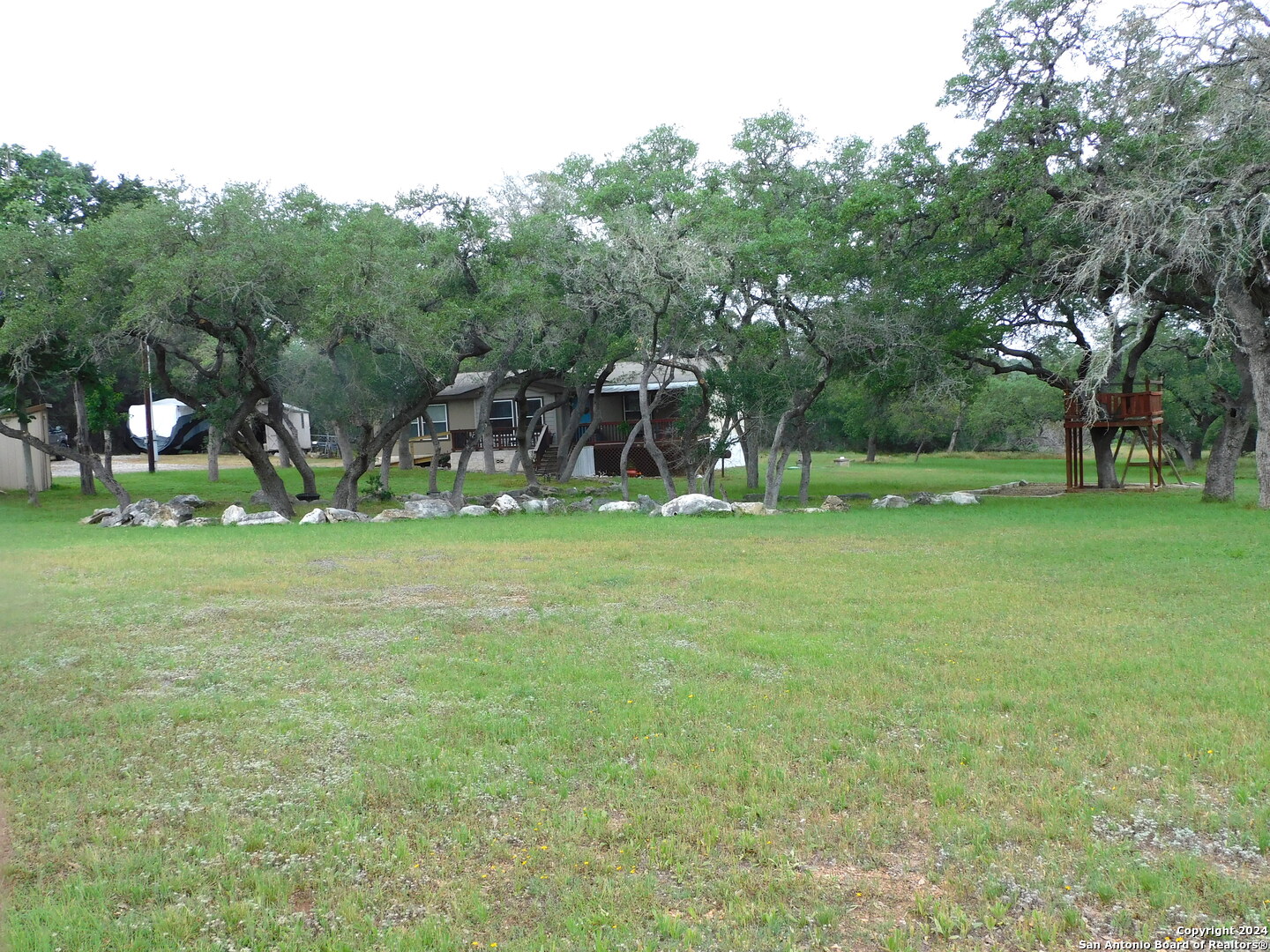 a view of a park with large trees