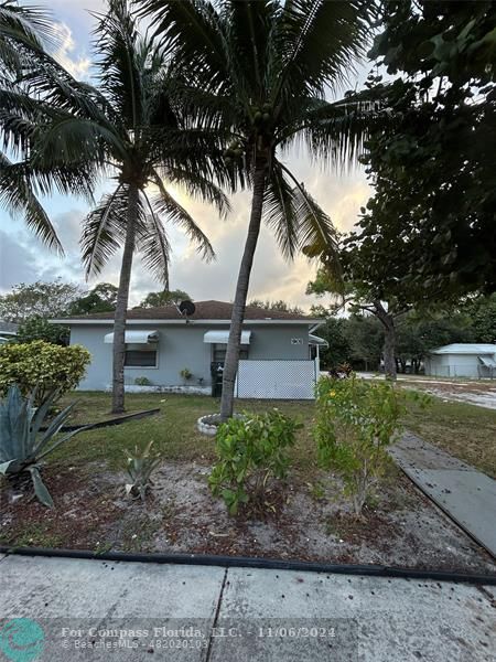 a view of a yard in front of a house with a large tree