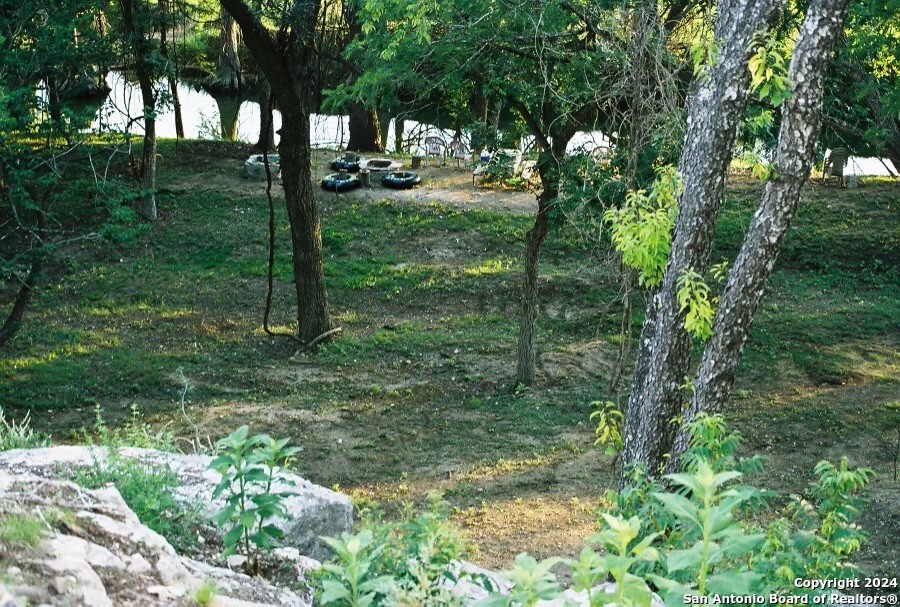 a view of outdoor space with trees