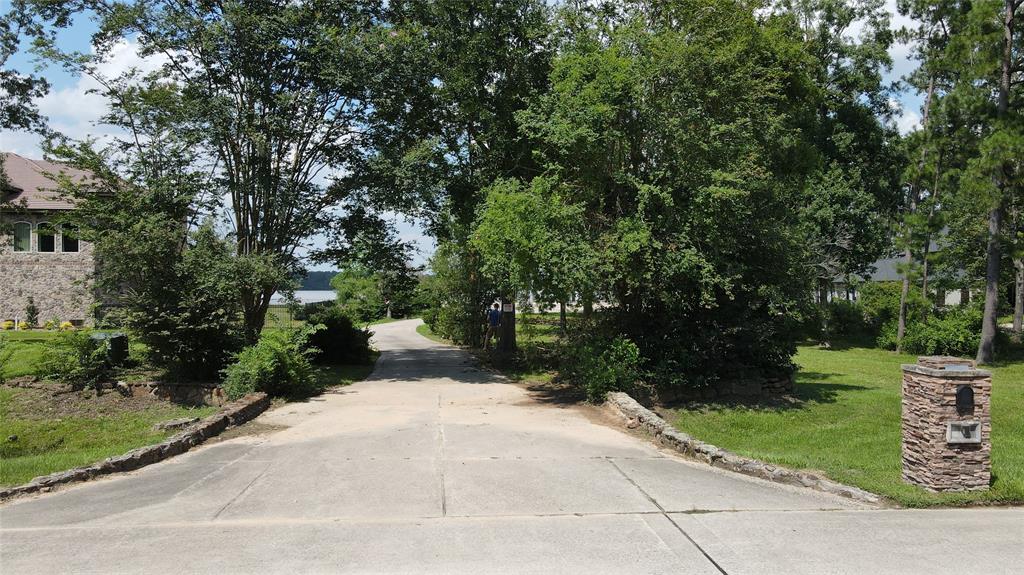 a view of a street with a trees