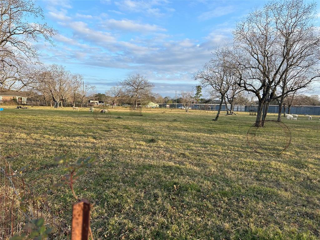 a view of a yard with an trees