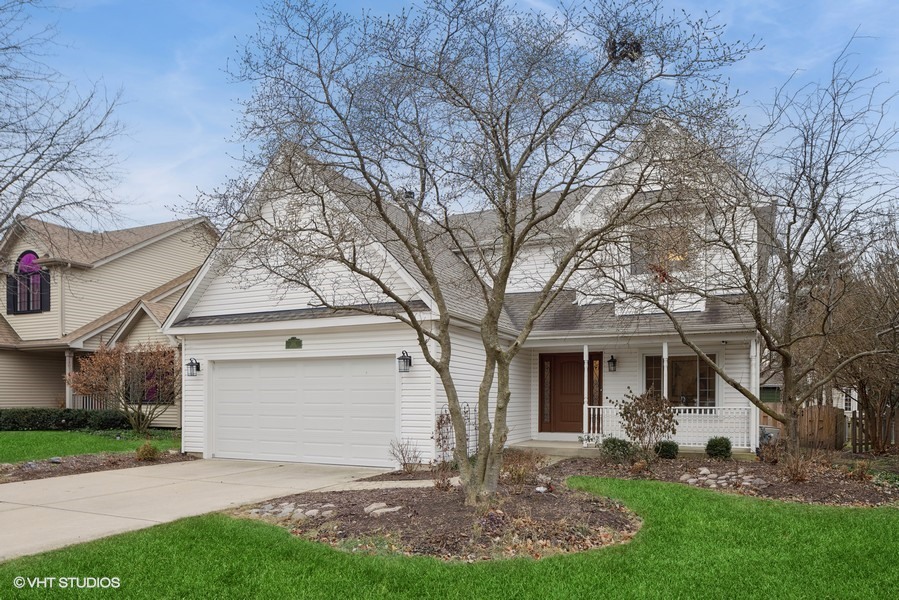 a view of a yard in front of a house with plants and large tree