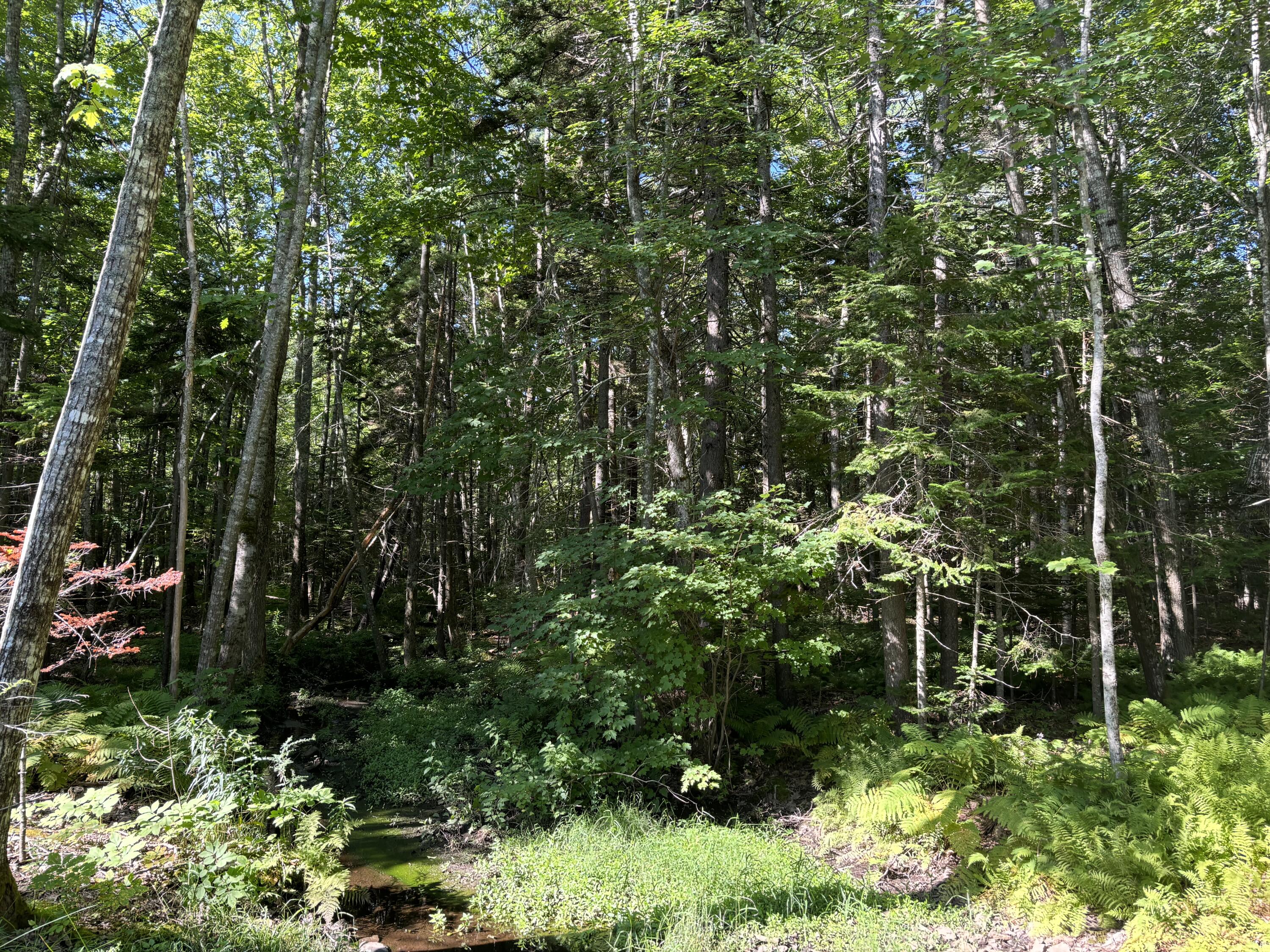 Lot 19, Roxmont Road, Rockport (new)