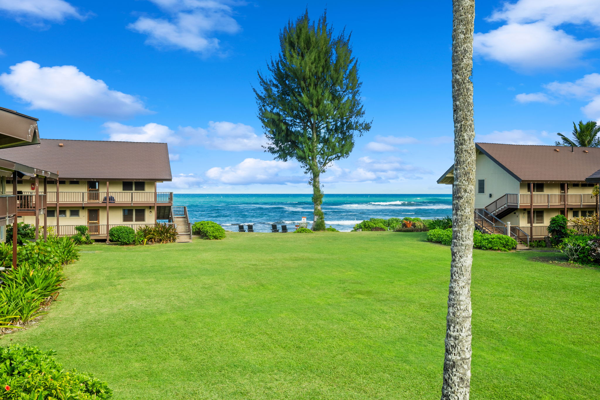 a view of a house with a big yard