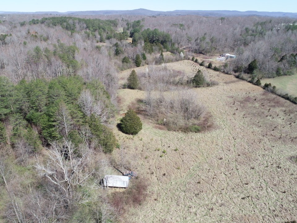 a view of a dry yard with trees