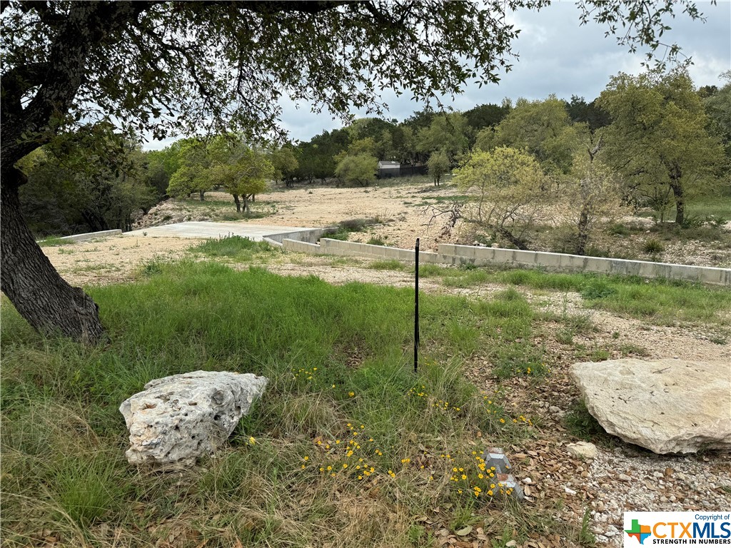 a view of a backyard of the house