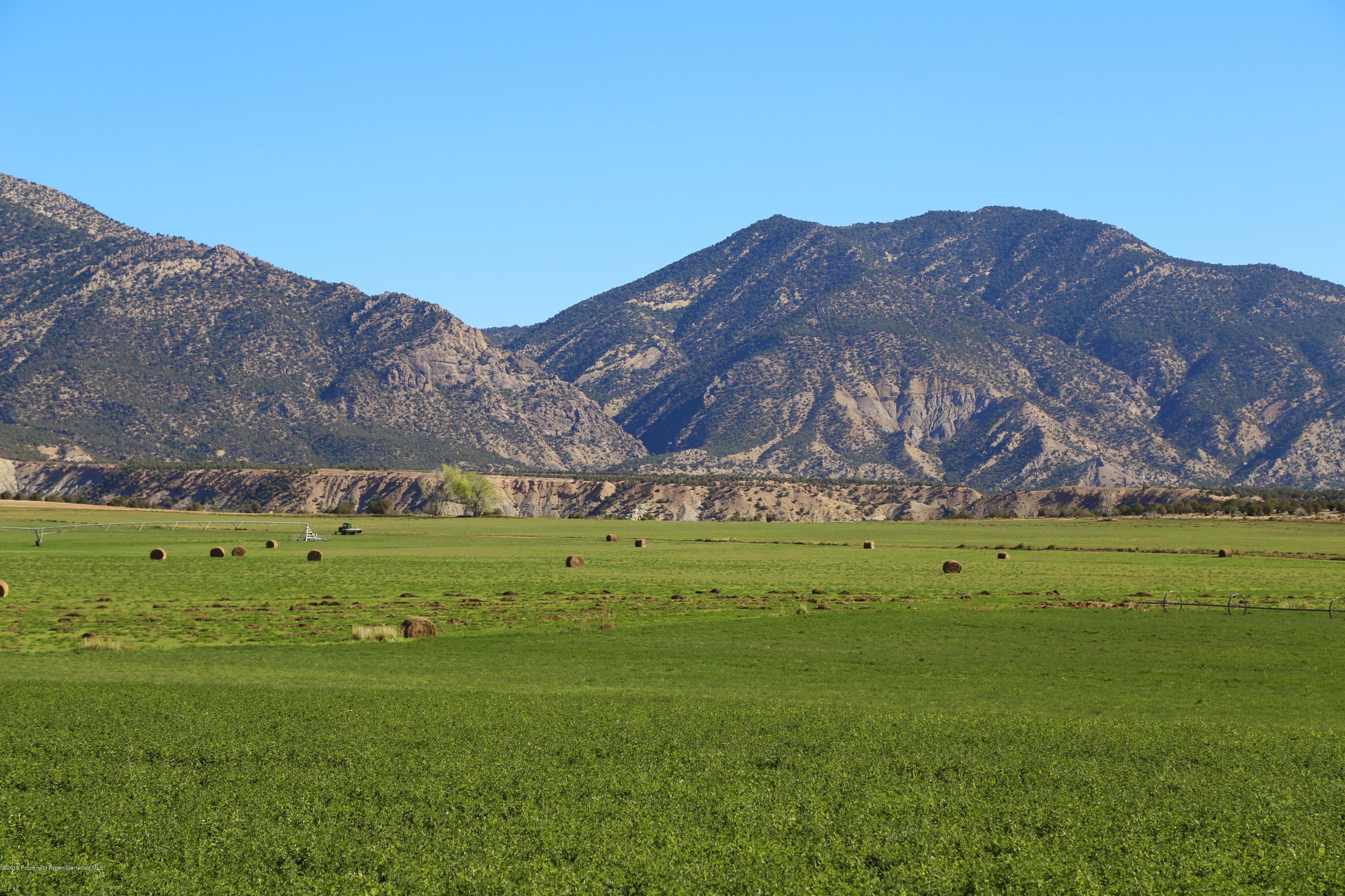 a view of a big yard with a garden and mountain view