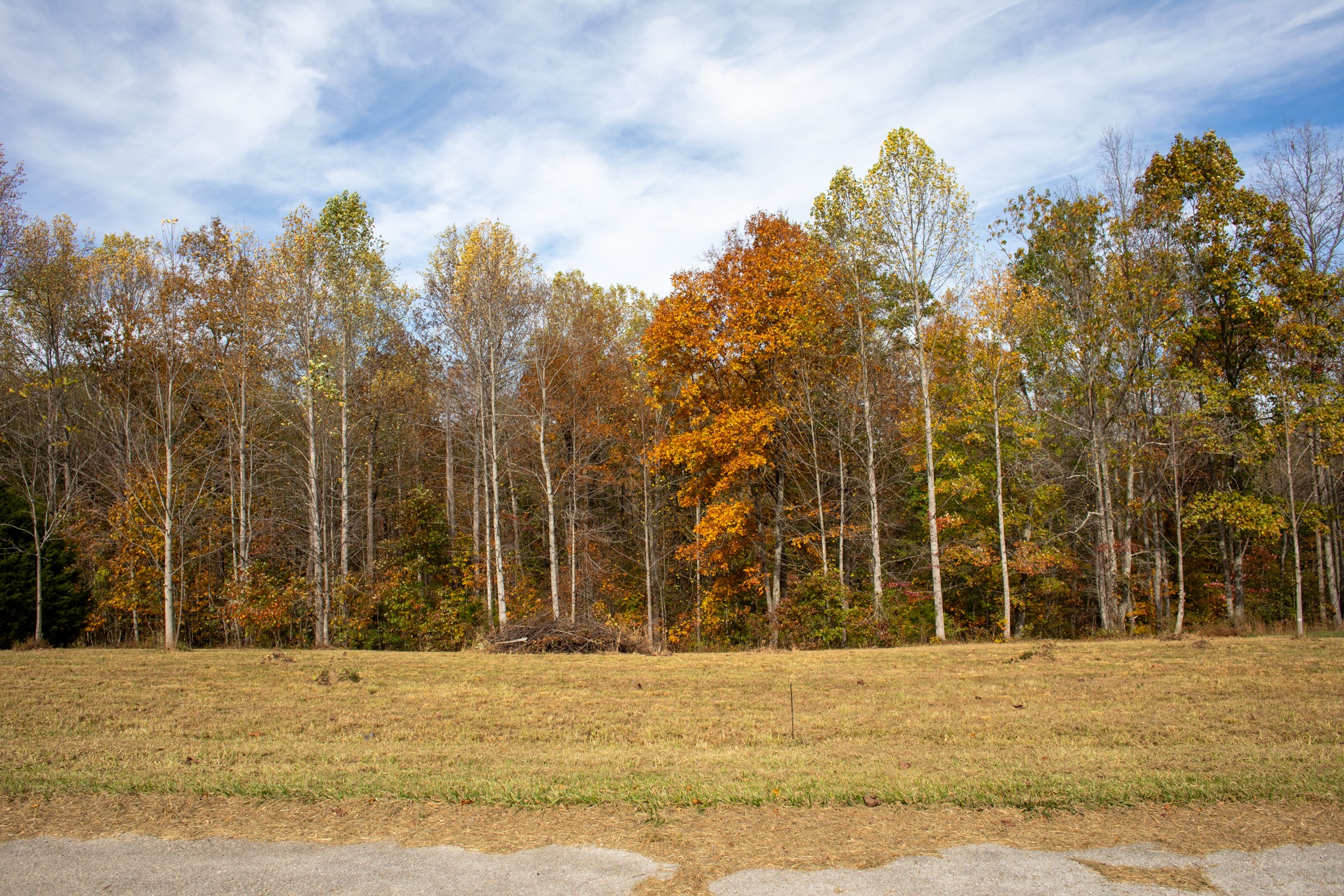 a view of a big yard