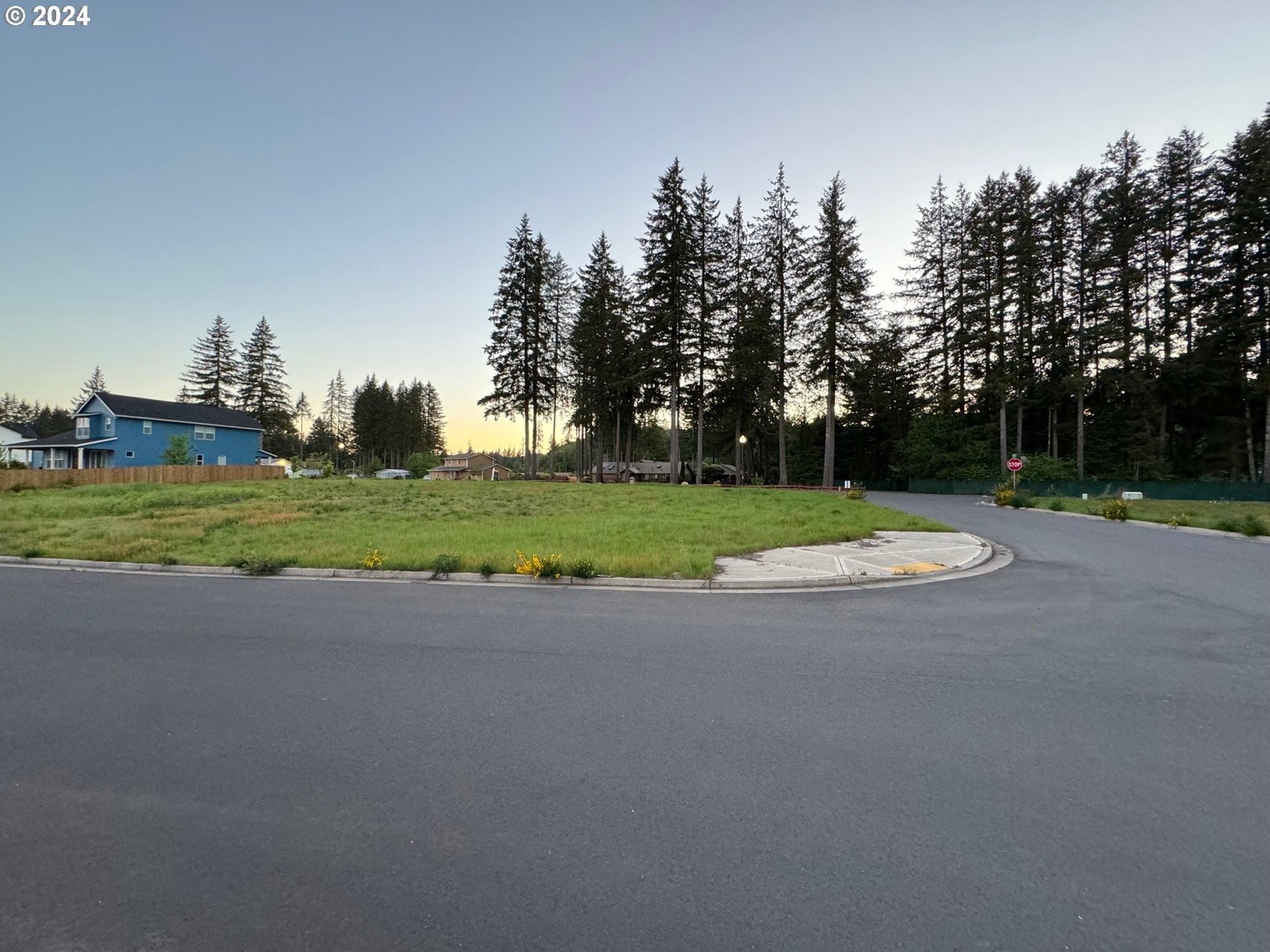 a view of a park with large trees