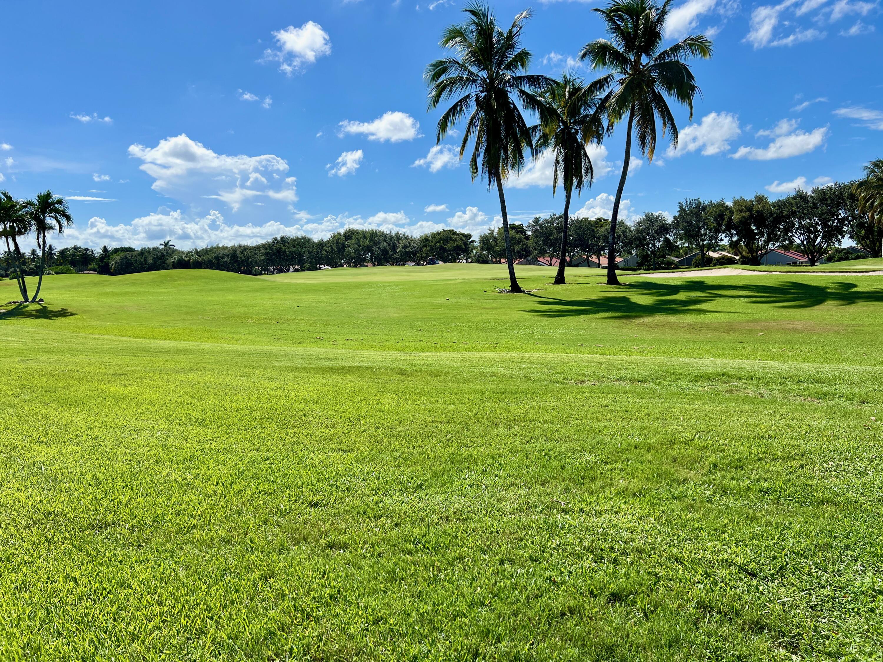 View of Golf Course