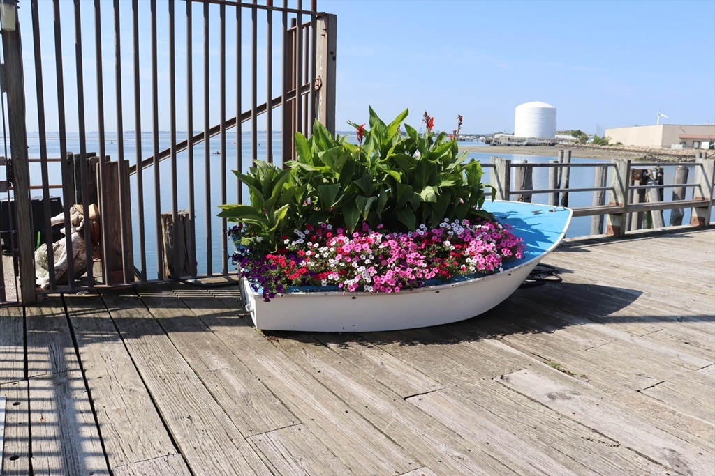 a view of a fruit basket in front of a house