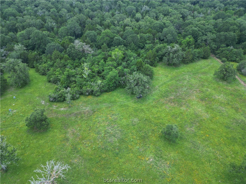 a view of a green field with lots of bushes