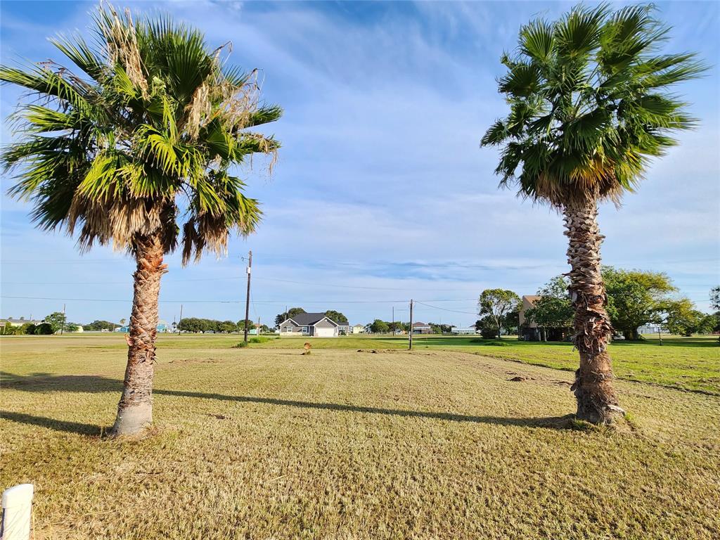 a view of a yard with an ocean