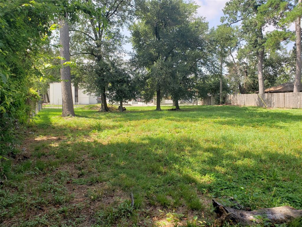 a view of a big yard with large trees