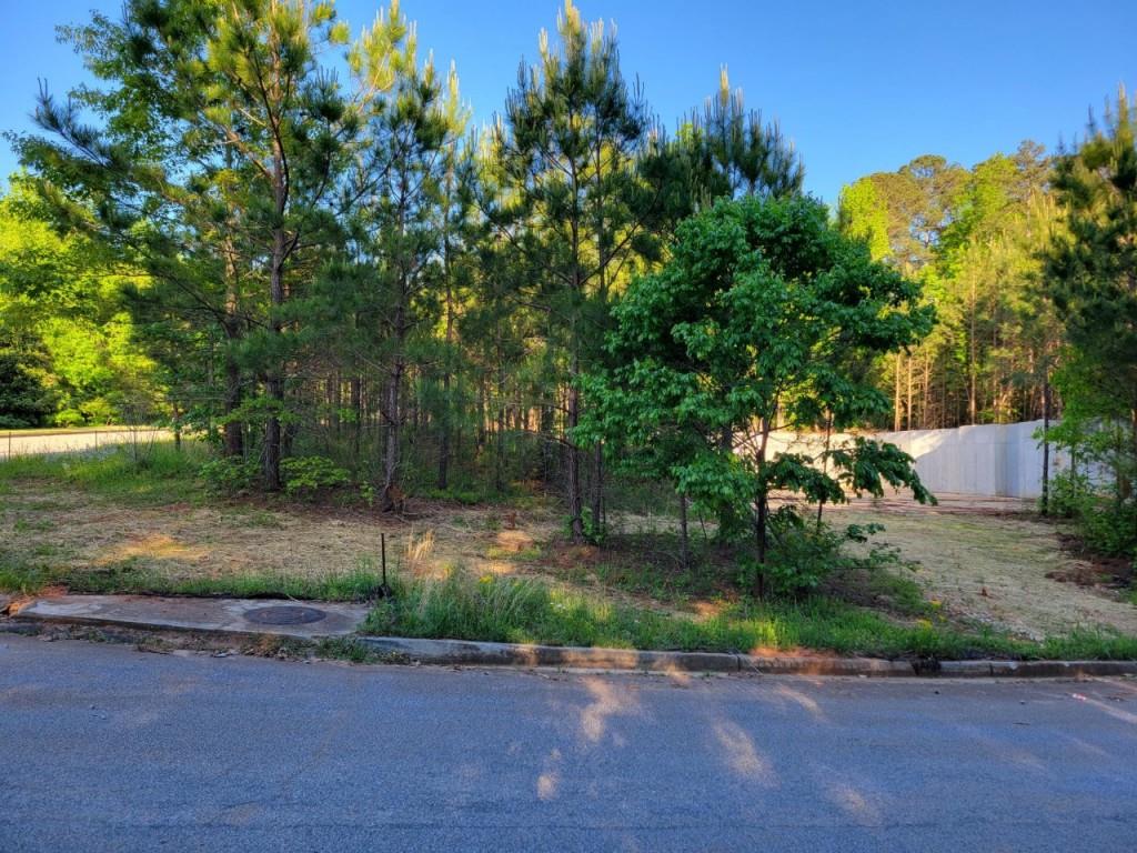 a view of a yard with plants and trees