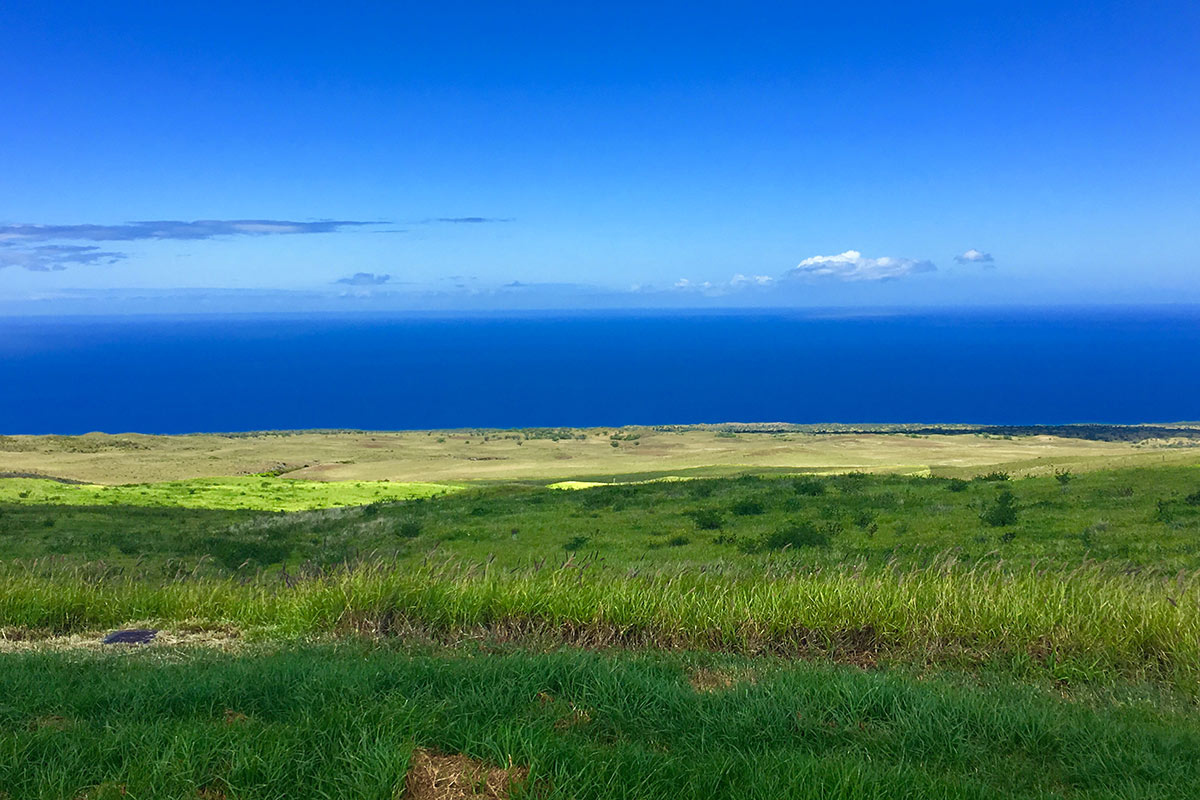 a view of an ocean