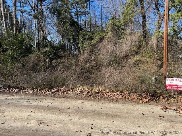 $15,000 | 0 Howie And Hammonds Road | Brown Marsh Township - Bladen County