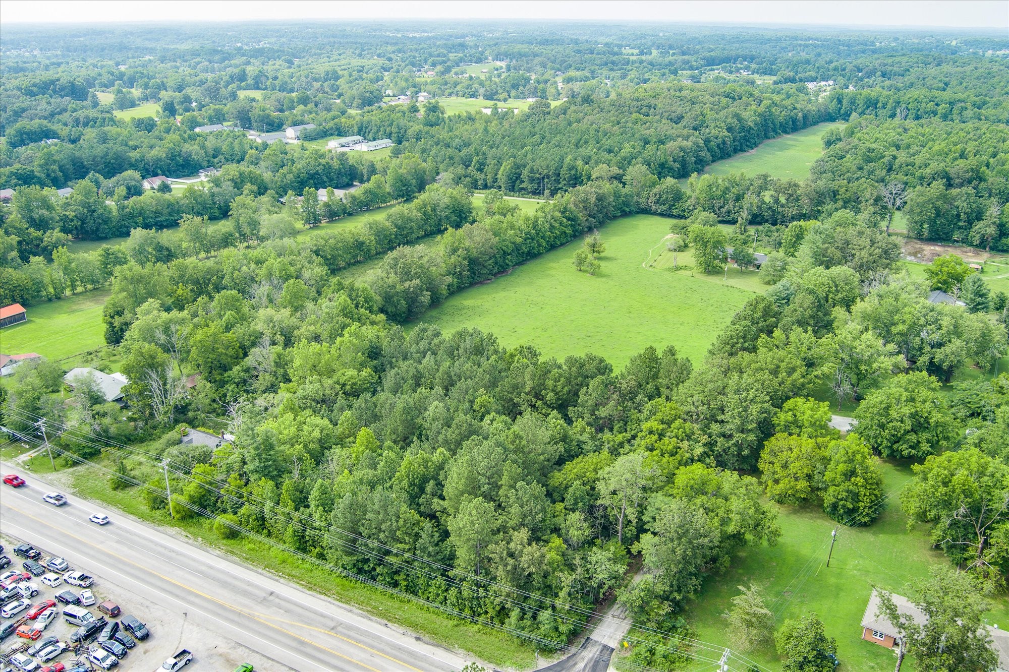 a view of a green field with lots of bushes