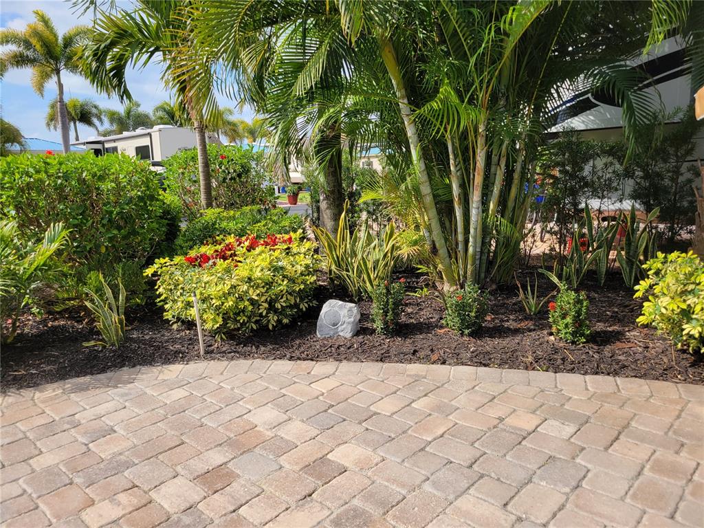 a view of a backyard with potted plants and large trees