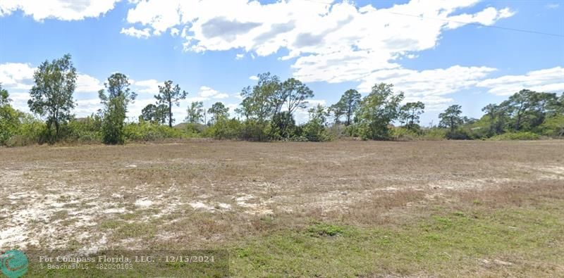 a view of a field with trees in background