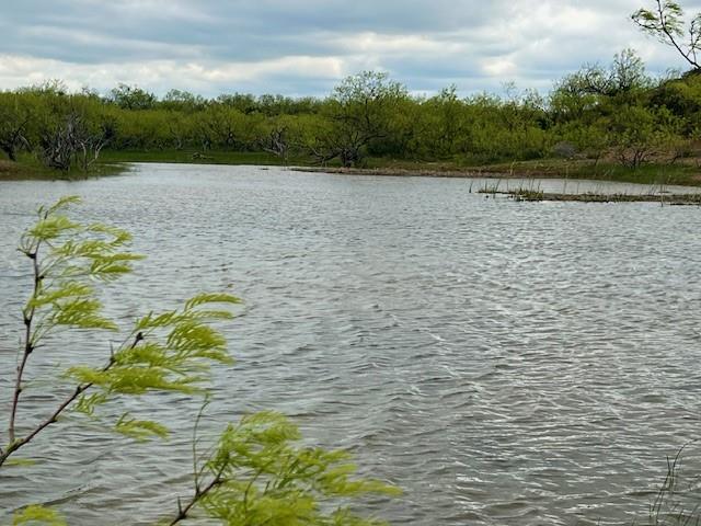 a view of a lake