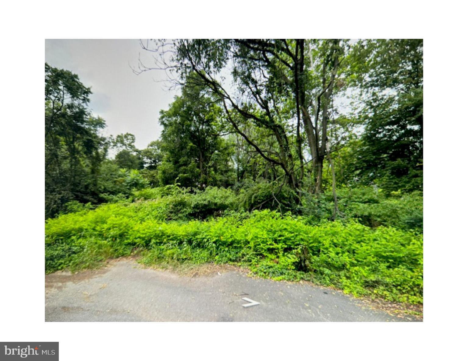 a open area with lots of trees