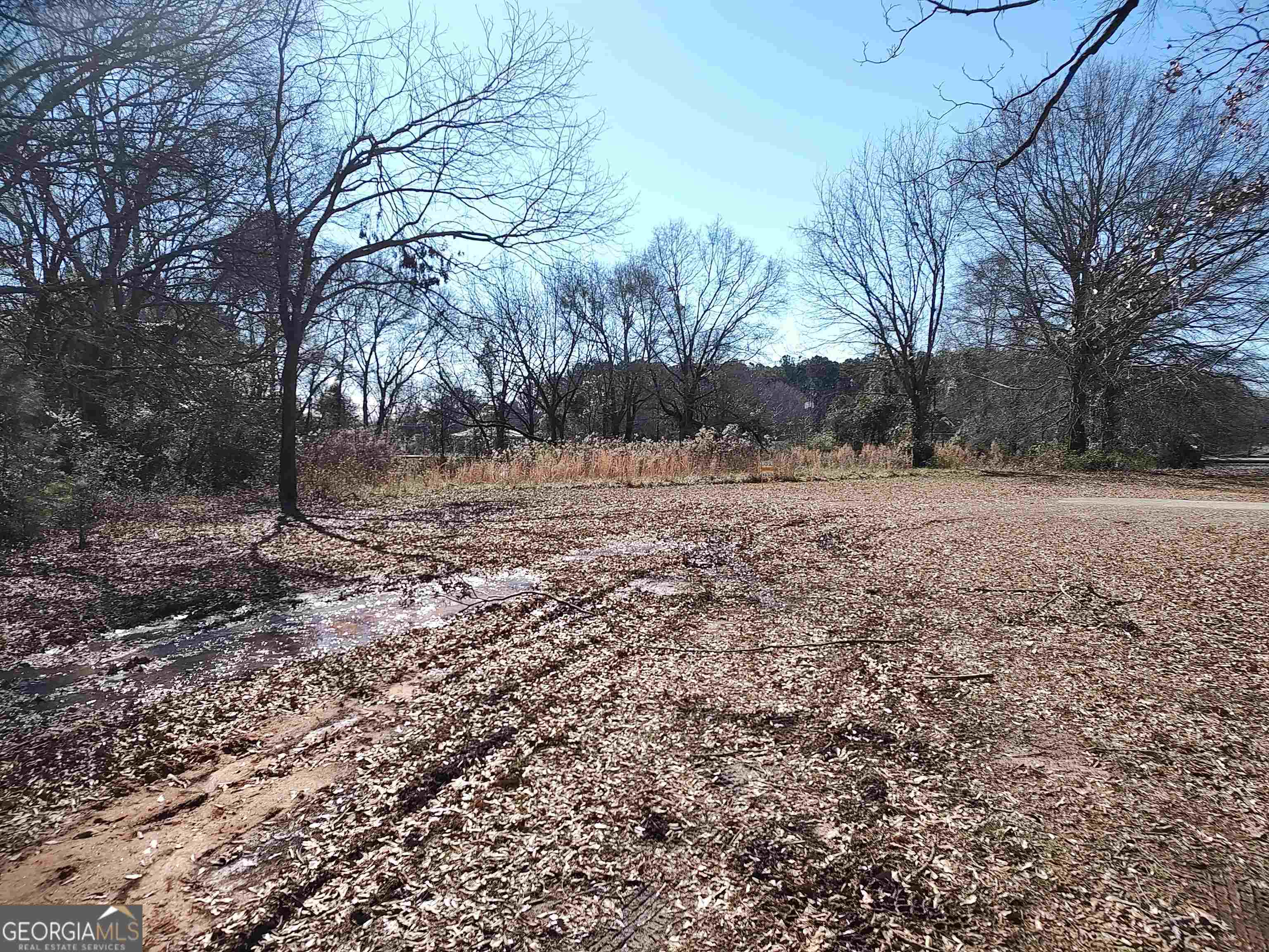 a view of dirt yard with trees