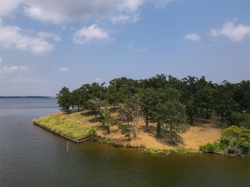 a view of a lake with a yard