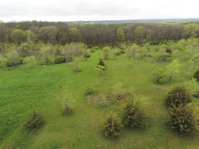 $299,000 | 10.45-ac Ringhand | Mount Pleasant