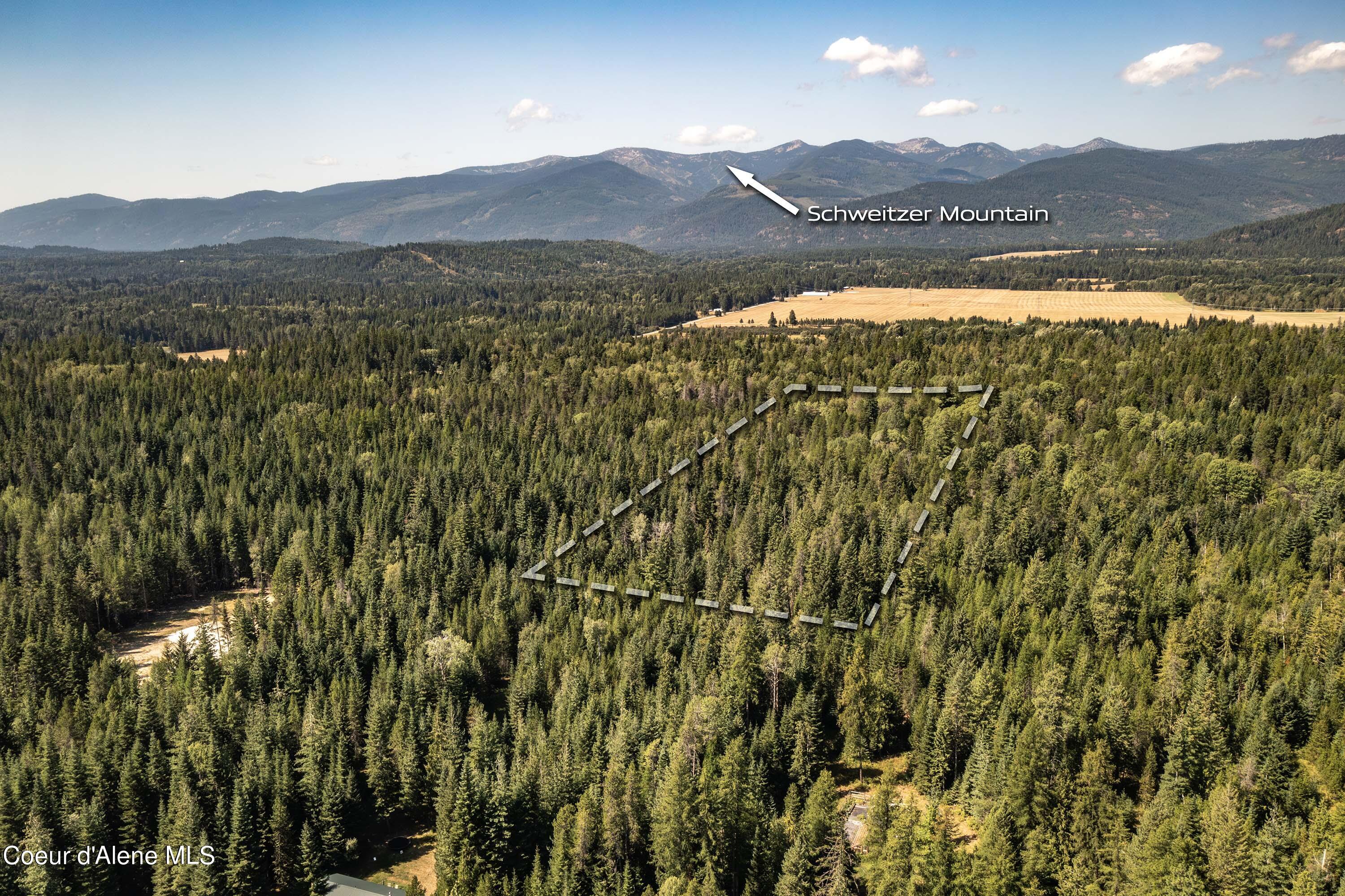 Aerial to Schweitzer