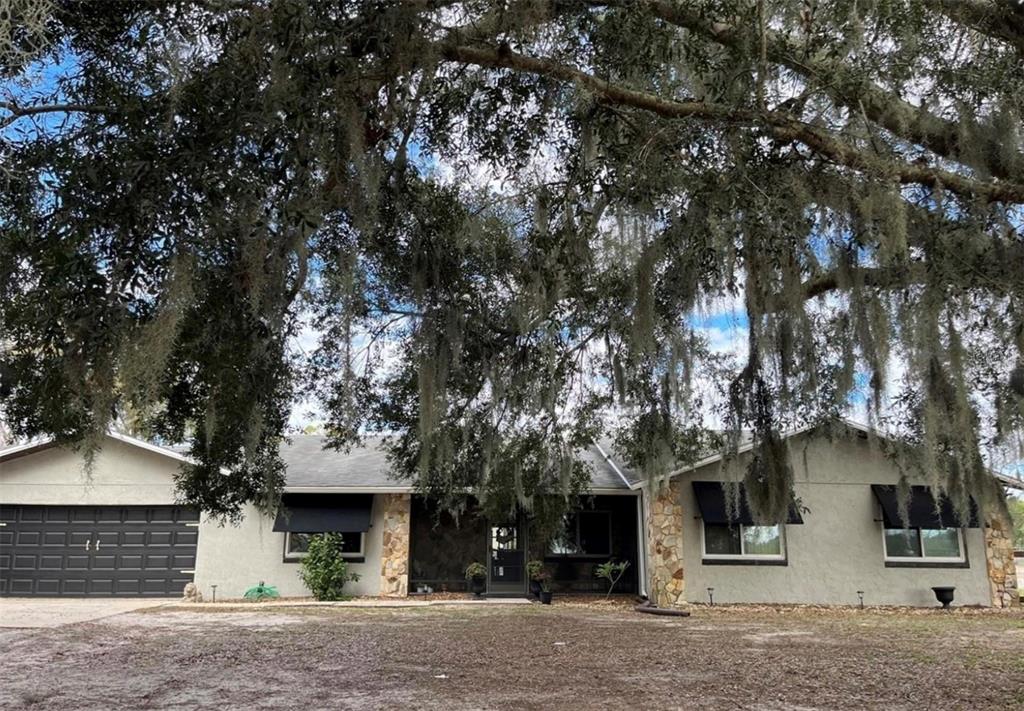 front view of a house with a tree