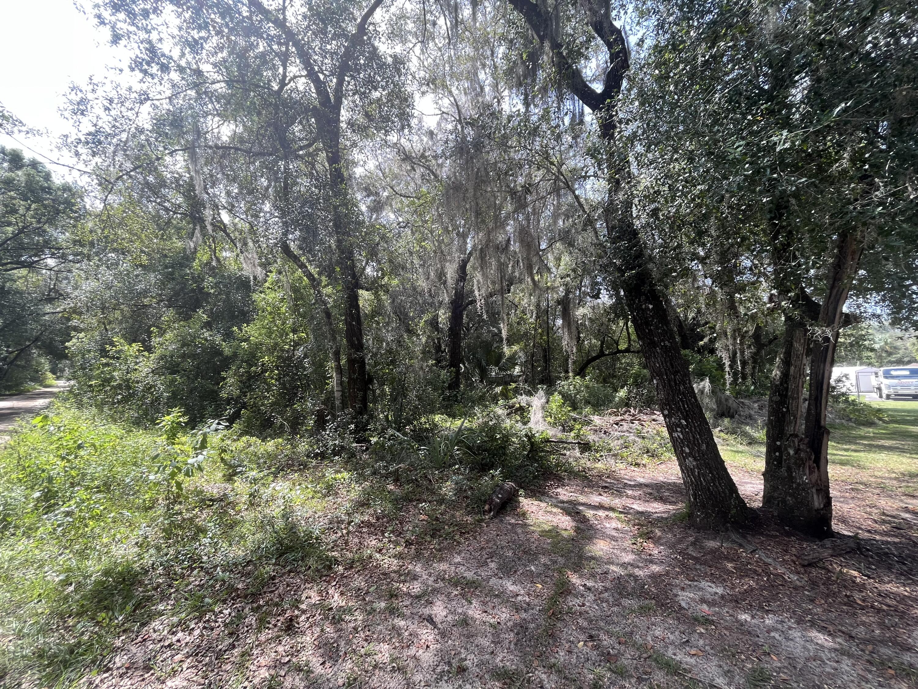 a view of outdoor space and trees