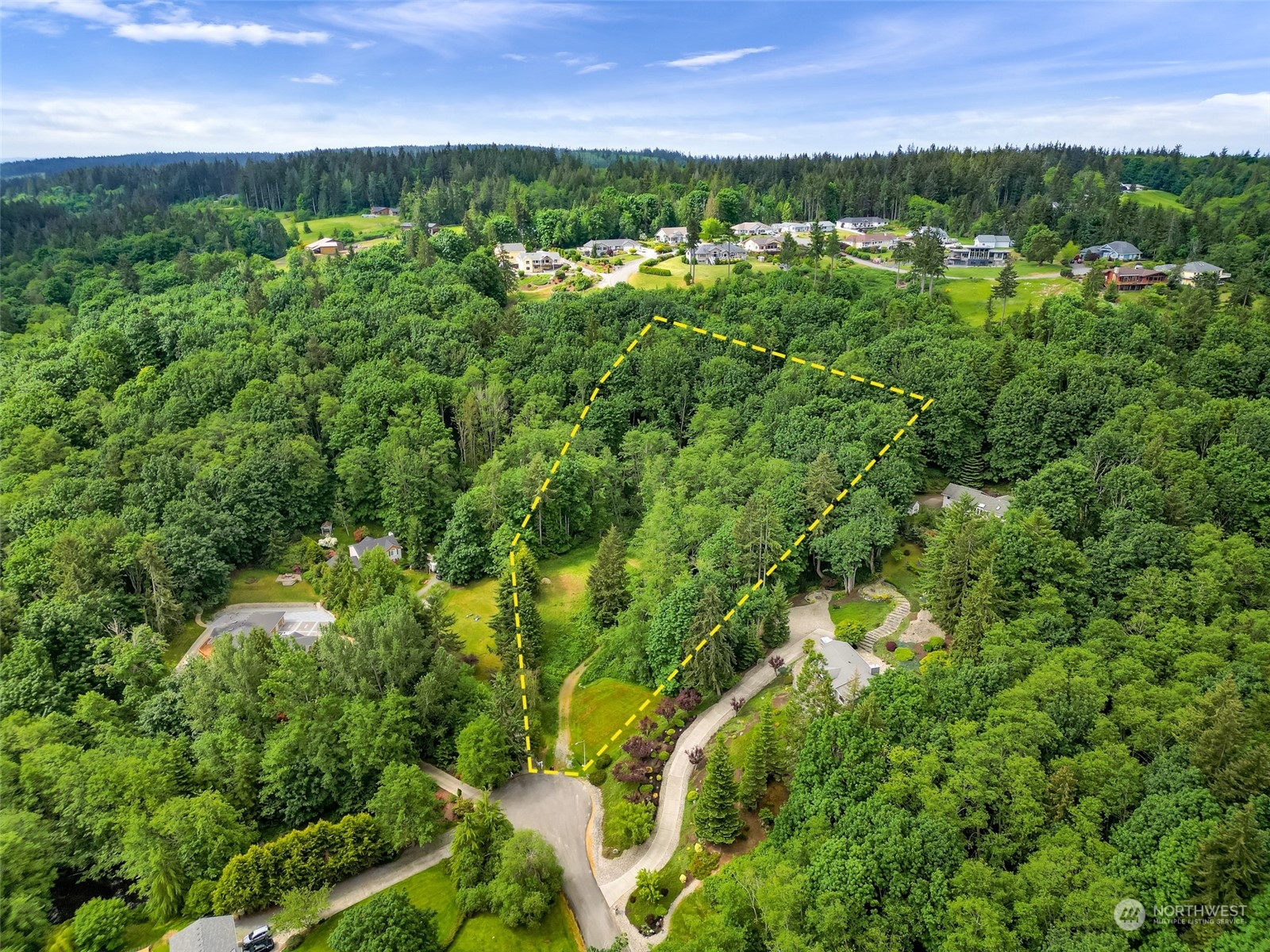 an aerial view of residential houses with outdoor space and trees