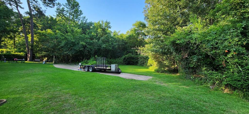 a view of a park with plants and trees