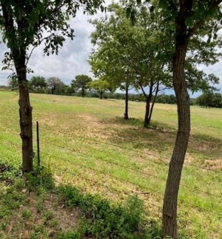 a view of a yard with a tree