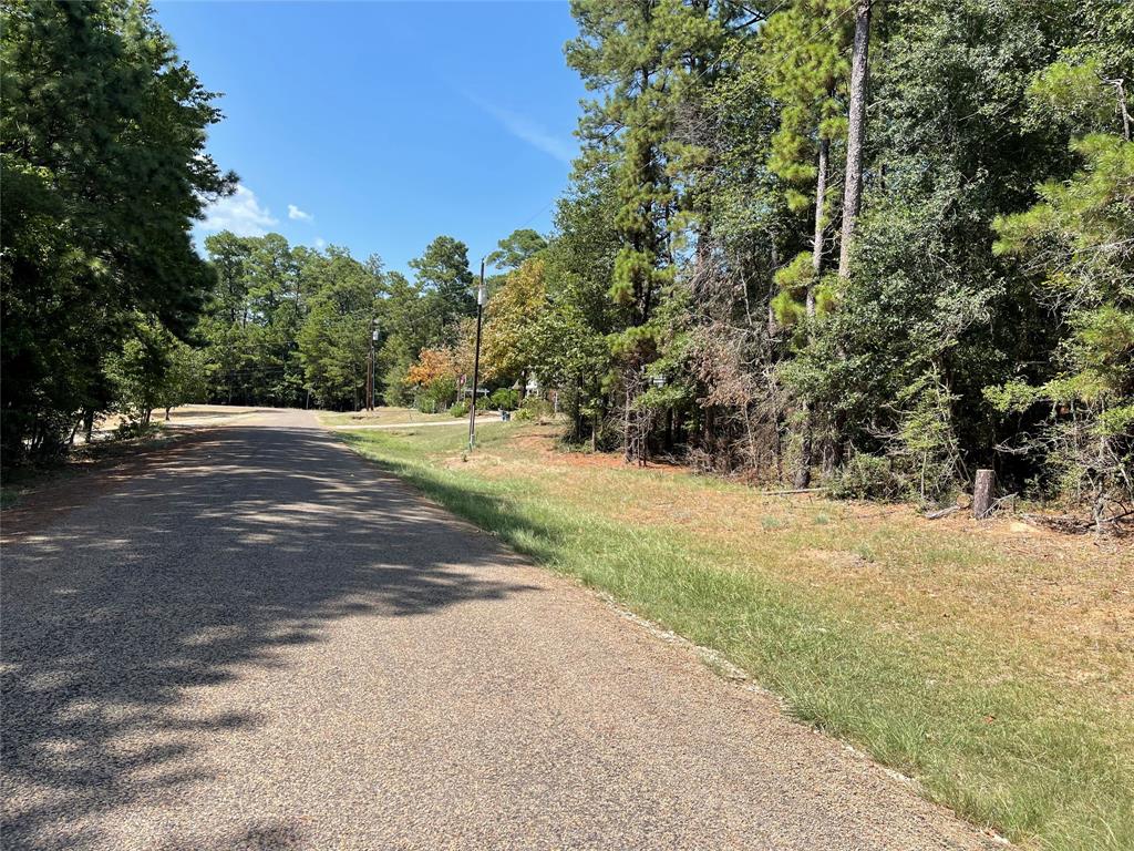 a view of road with large trees